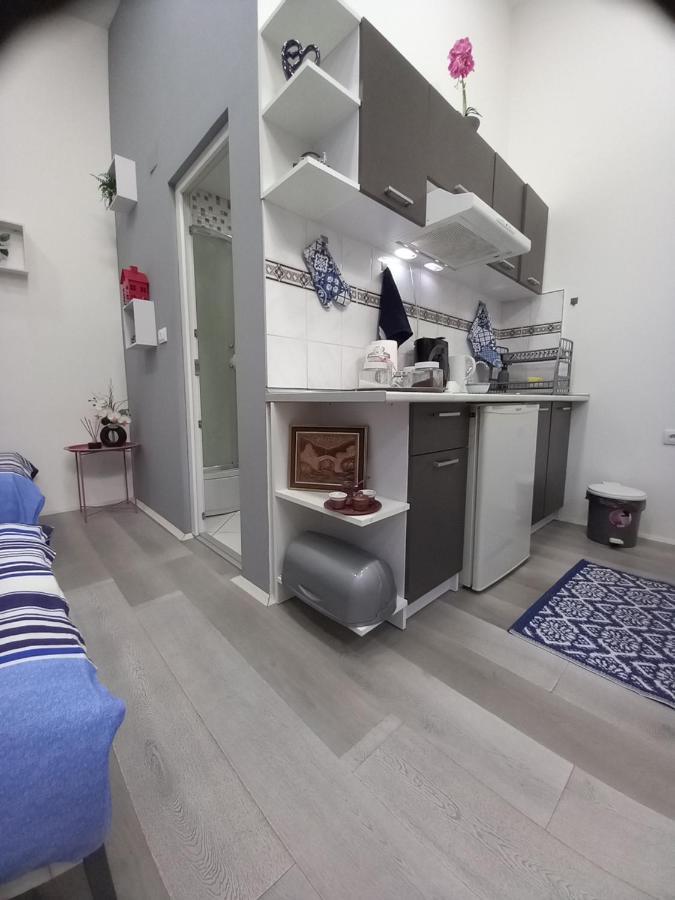 Apartman Stari Most - Old Bridge Bečej 외부 사진